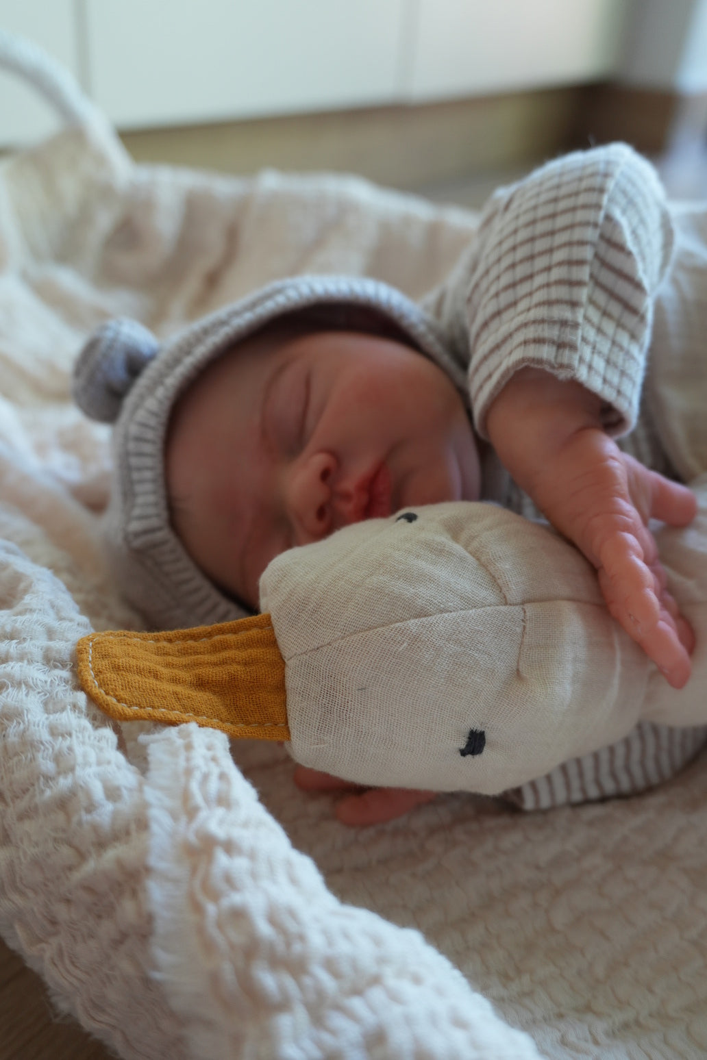 Střihy na hračky a mazlíčky