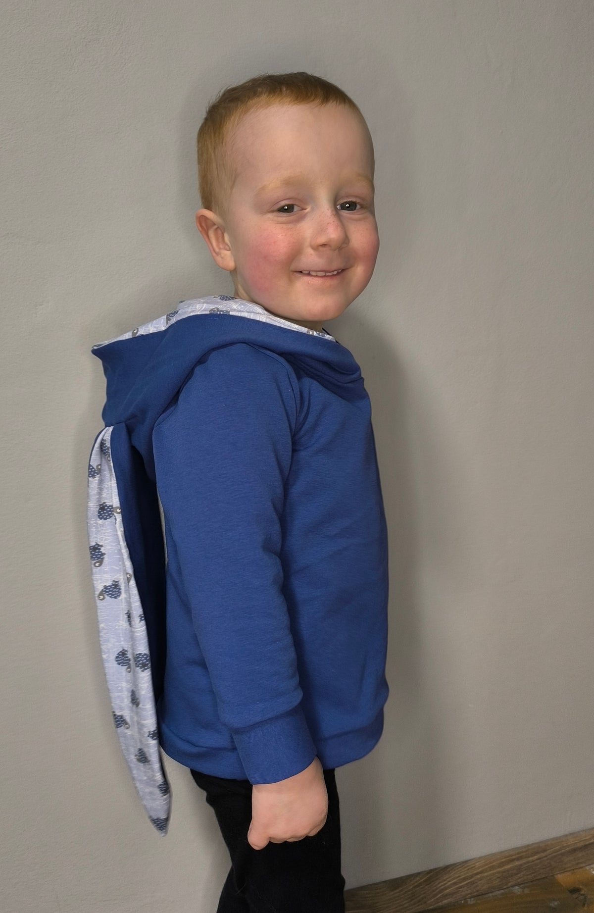Aspen kids hoodie with Ears