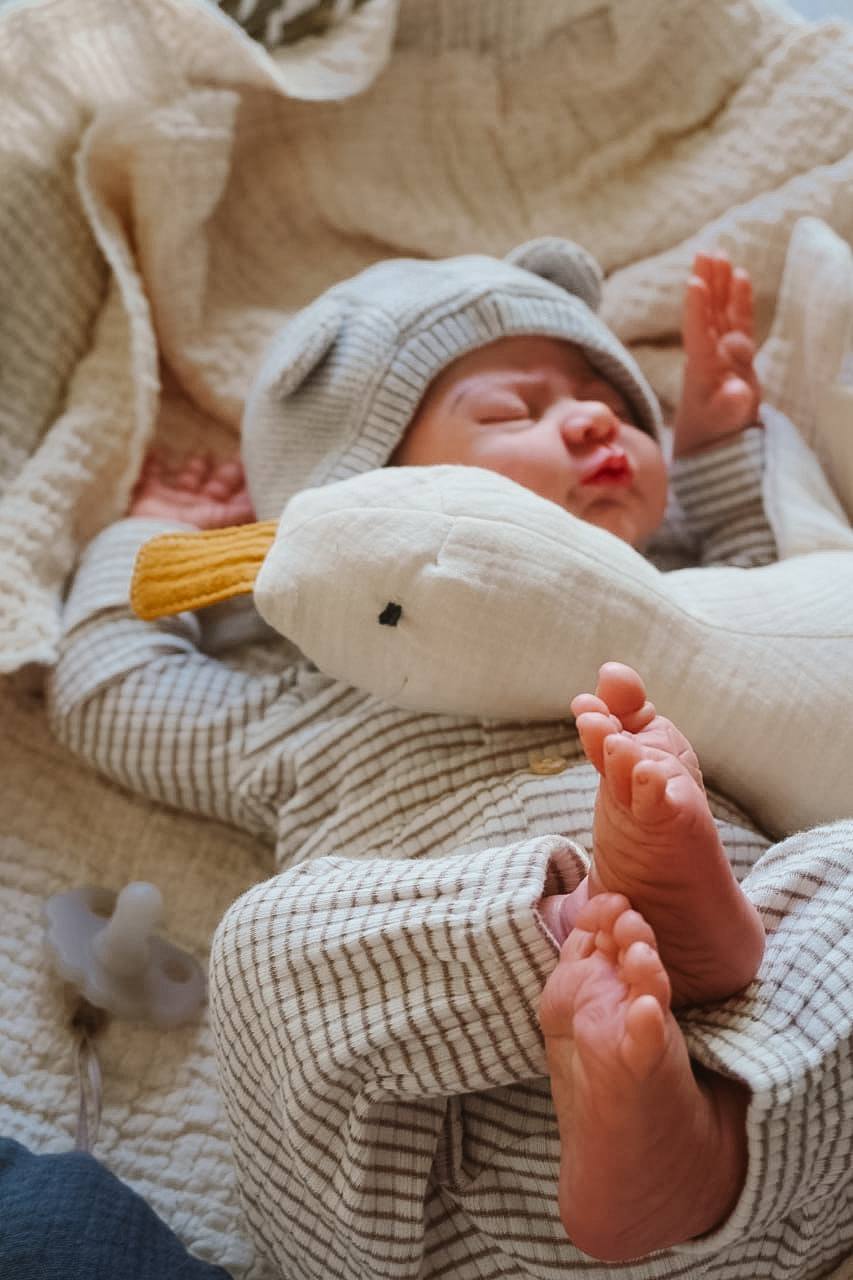 Střih na husu Jana – PDF střih na látkovou hračku / mazlíka pro miminko