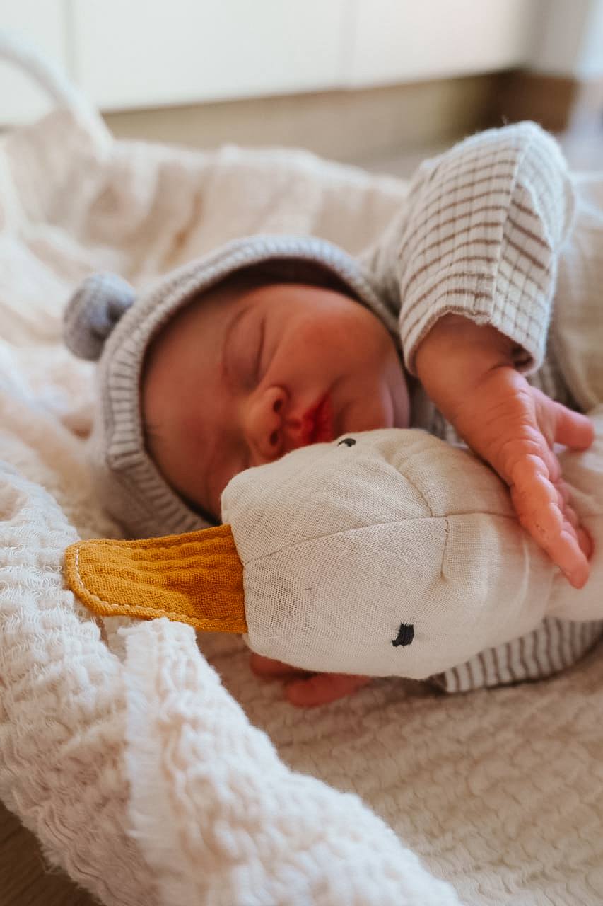 Střih na husu Jana – PDF střih na látkovou hračku / mazlíka pro miminko