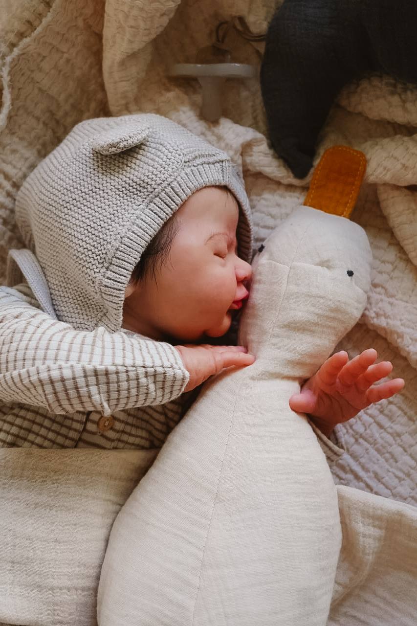 Střih na husu Jana – PDF střih na látkovou hračku / mazlíka pro miminko