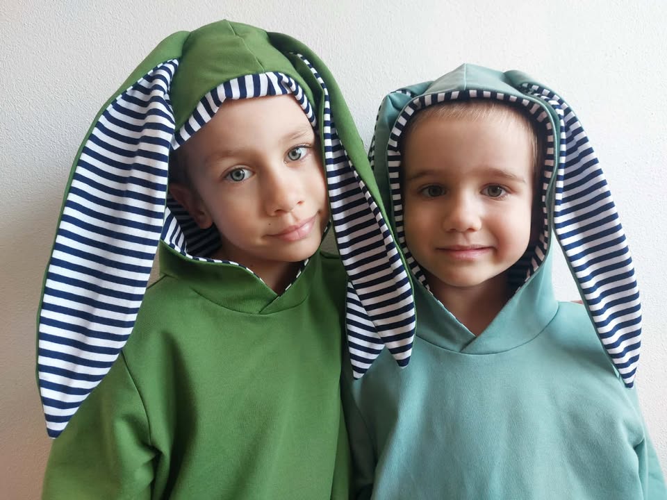 Aspen kids hoodie with Ears 