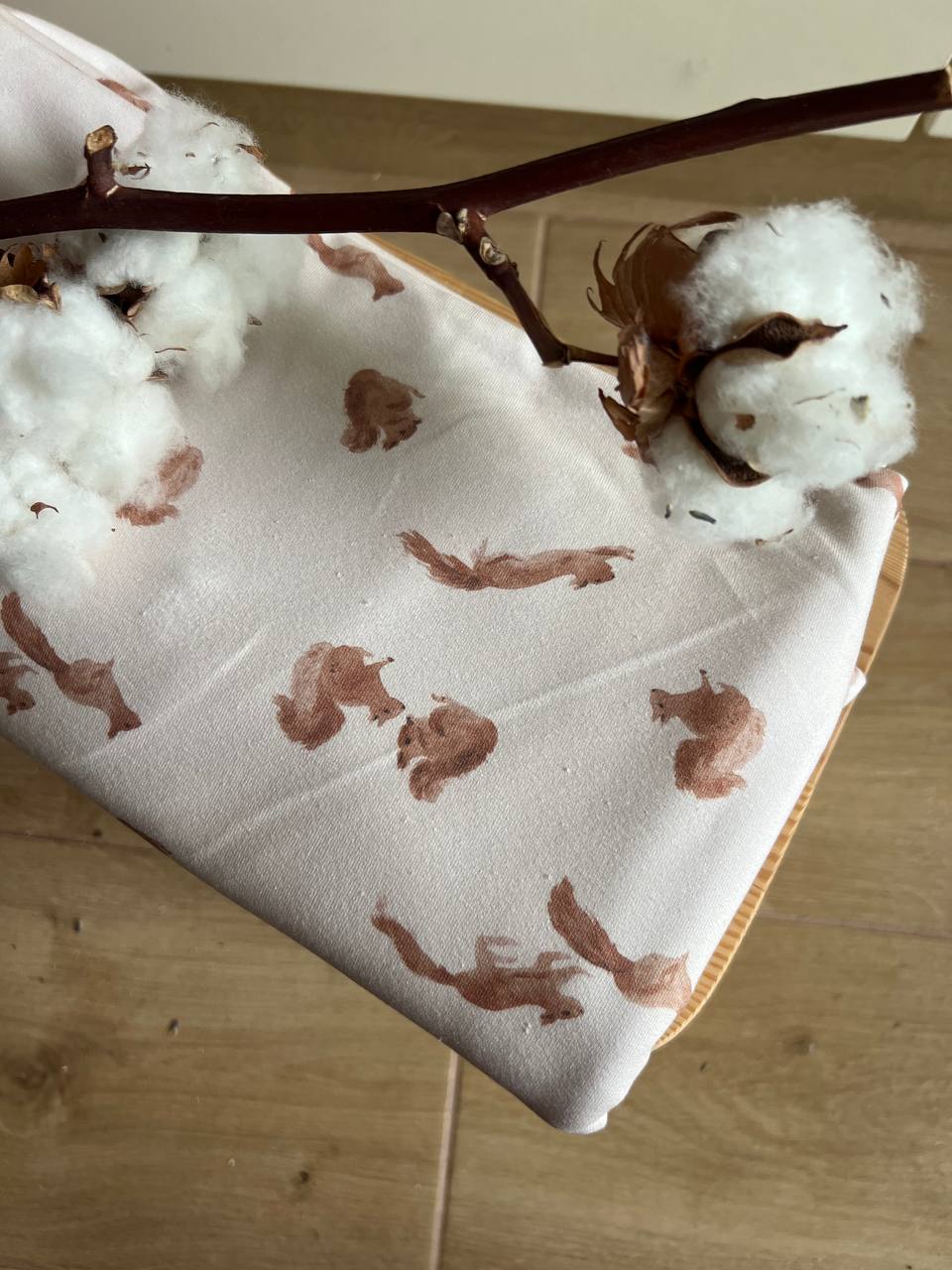 Úplet Family Fabrics - veverky 1,4 m
